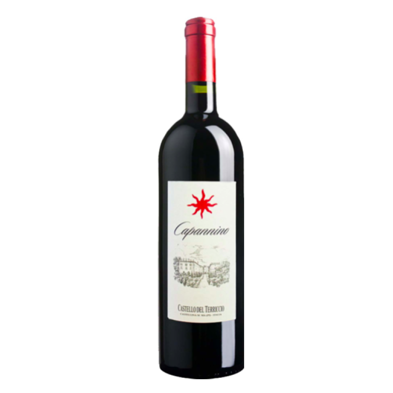 Castello del Terricio Tassinaia