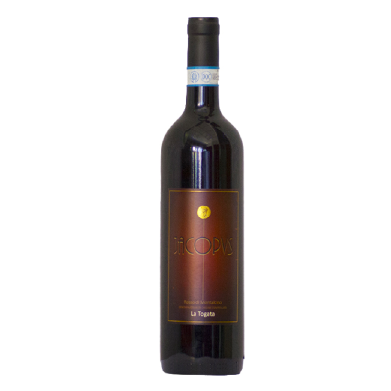 Jacopus Rosso di Montalcino