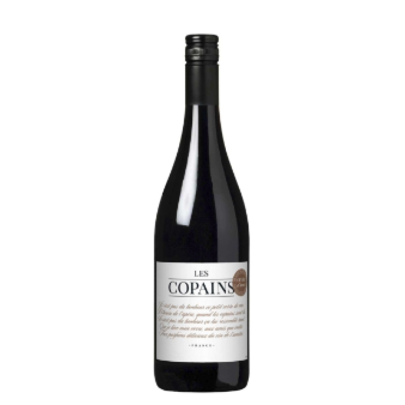 Les Copains GSM (ACTIEPRIJS)