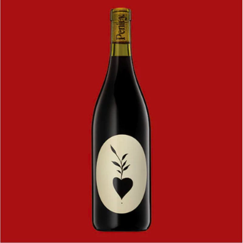 Penley Estate Project E Cabernet Sauvignon