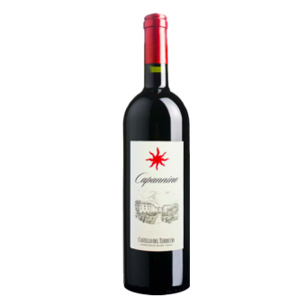 Castello del Terricio Tassinaia