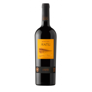 Montgras Antu Carmenère                   