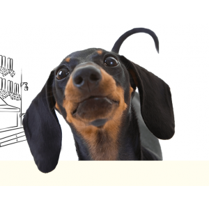 Boutinot Long Little Dog Rouge