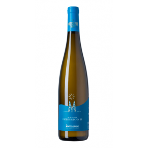 Montecappone Federico II Verdicchio dei Castelli di Jesi Superiore 