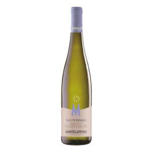 Montecappone Muntobe Verdicchio dei Castelli di Jesi Classico Superiore