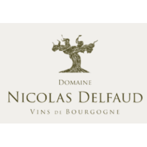 Nicolas Delfaud