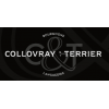 Terrier
