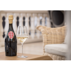 Champagne Gosset, een uitzonderlijk domein