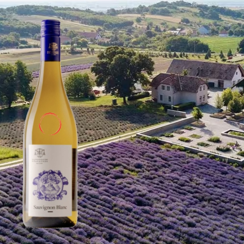 Apátsági Pincészet Sauvignon Blanc