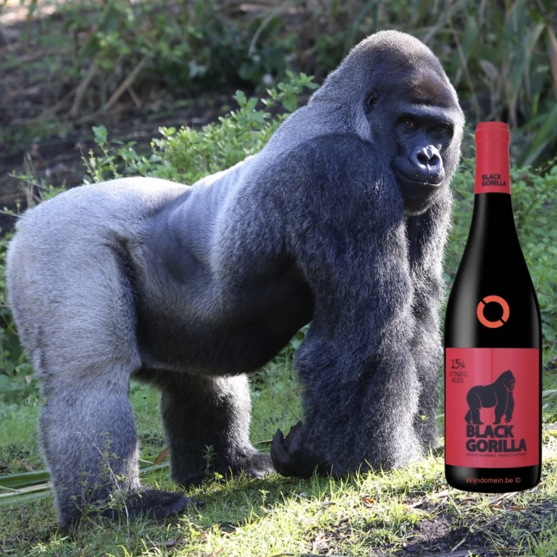 Domaine Guinand Black Gorilla