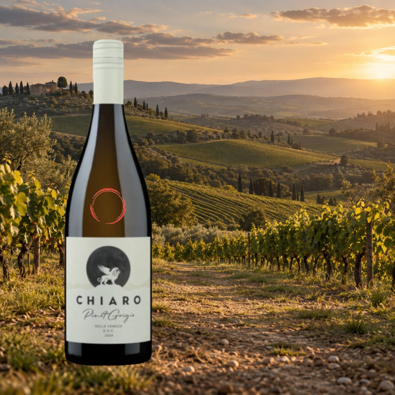 Chiaro Scuro Chiaro Pinot Grigio delle Venezie DOC