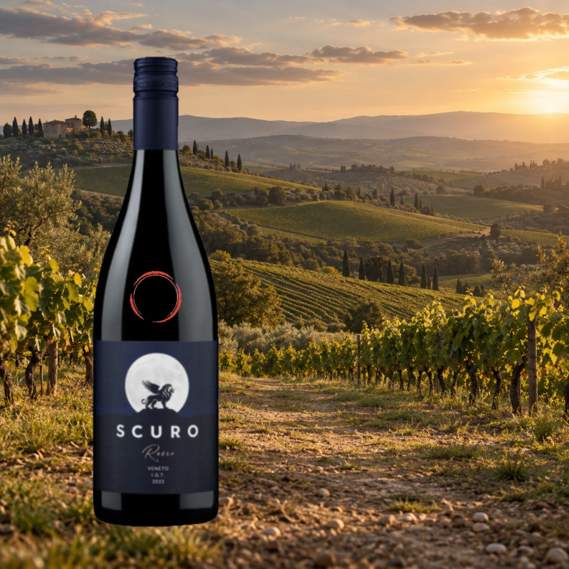 Chiaro Scuro Rosso Veneto IGT