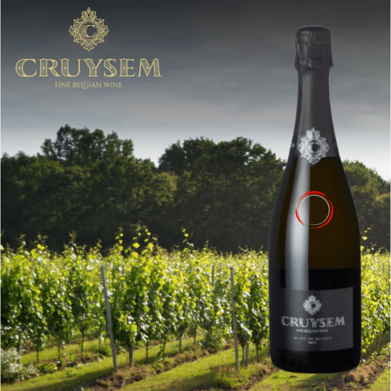 Cruysem Blanc de Blancs