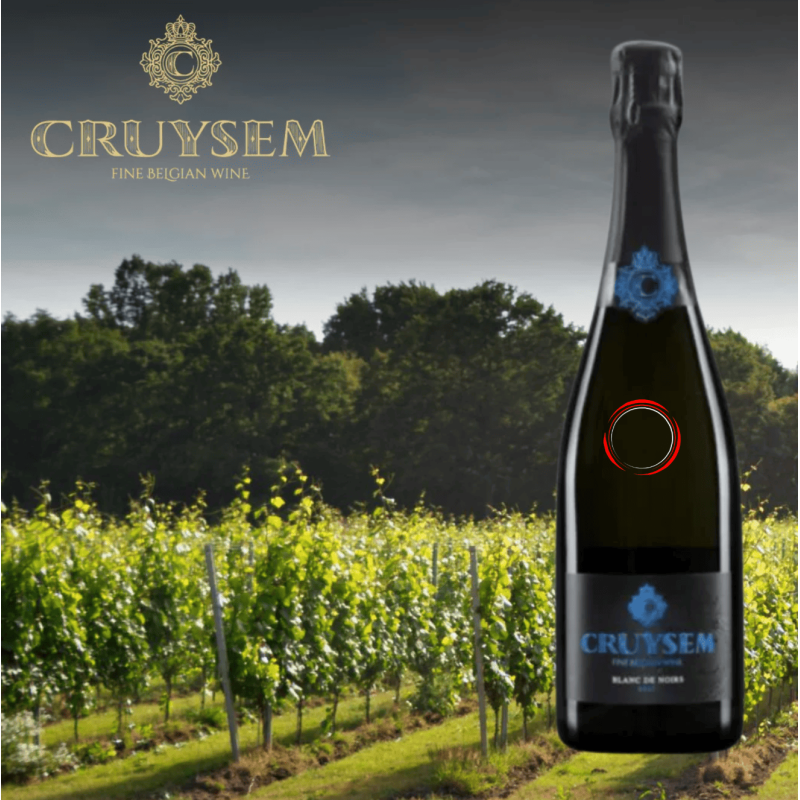 Cruysem Blanc de Noirs