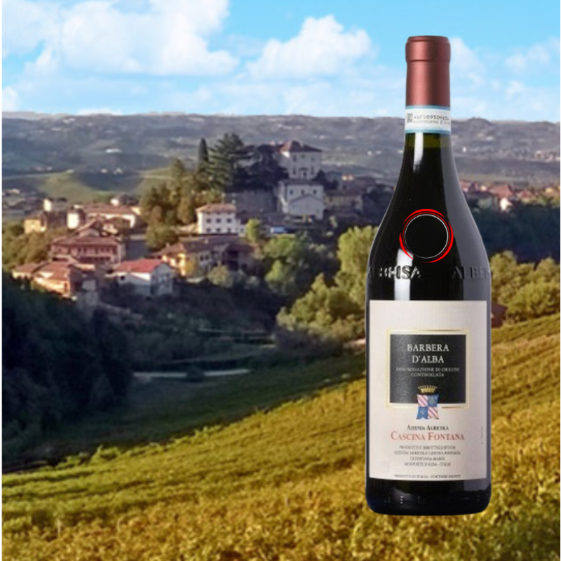 Cascina Fontana Barbera d'Alba