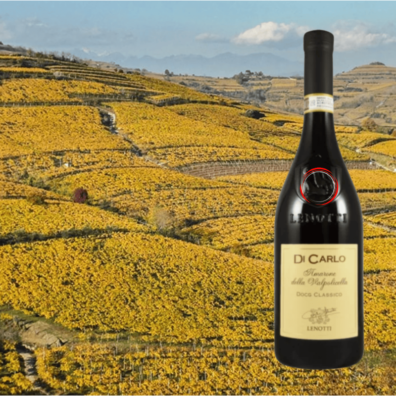 Lenotti Di Carlo Amarone della Valpolicella Classico