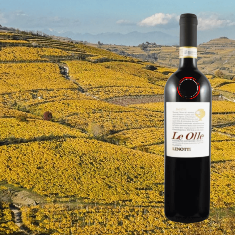 Lenotti Le Olle Bardolino Classico Superiore DOC