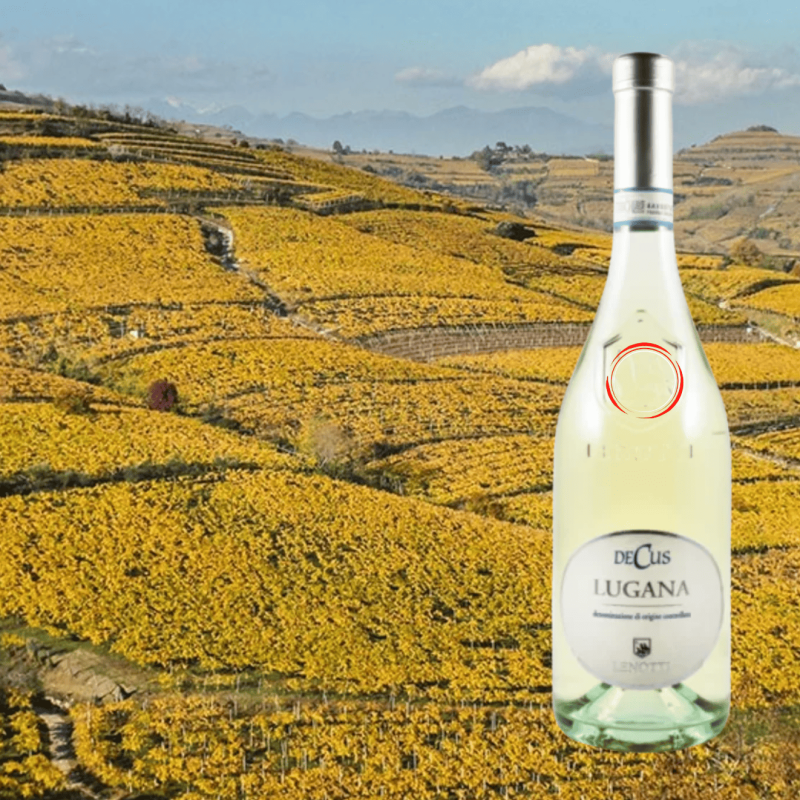 Lenotti Decus Lugana