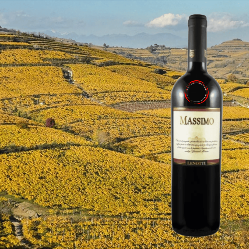 Lenotti Massimo Rosso del Veneto IGT