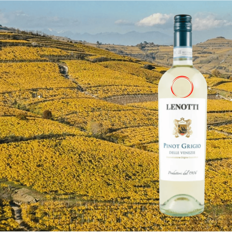 Lenotti Pinot Grigio