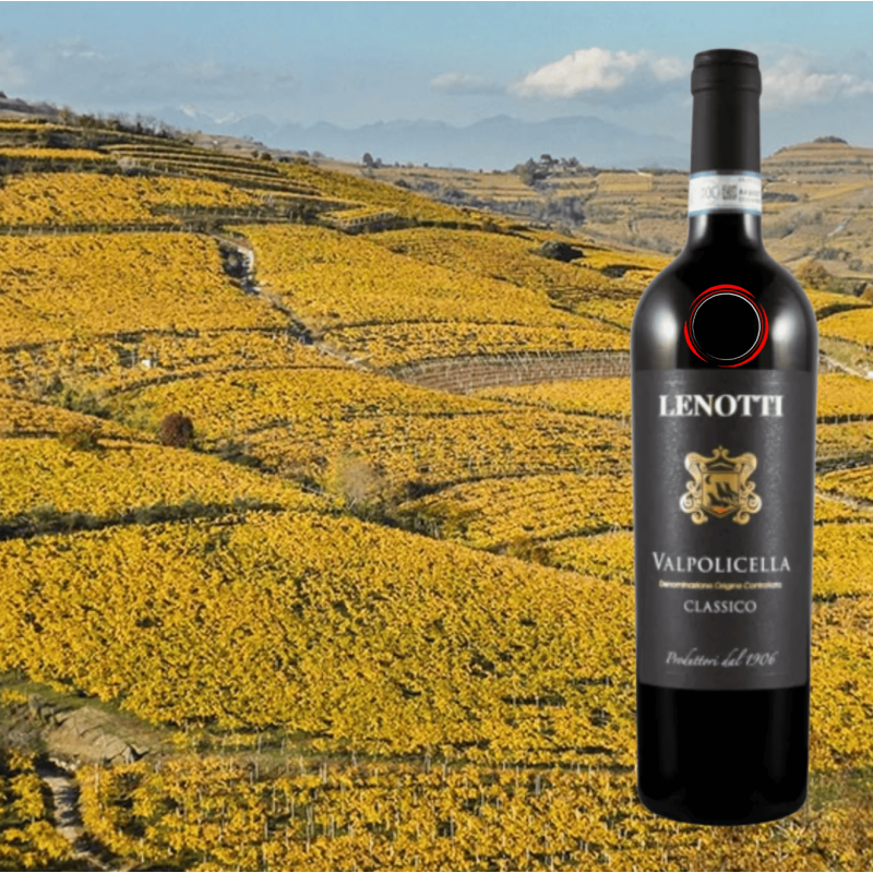 Lenotti Valpolicella Classico