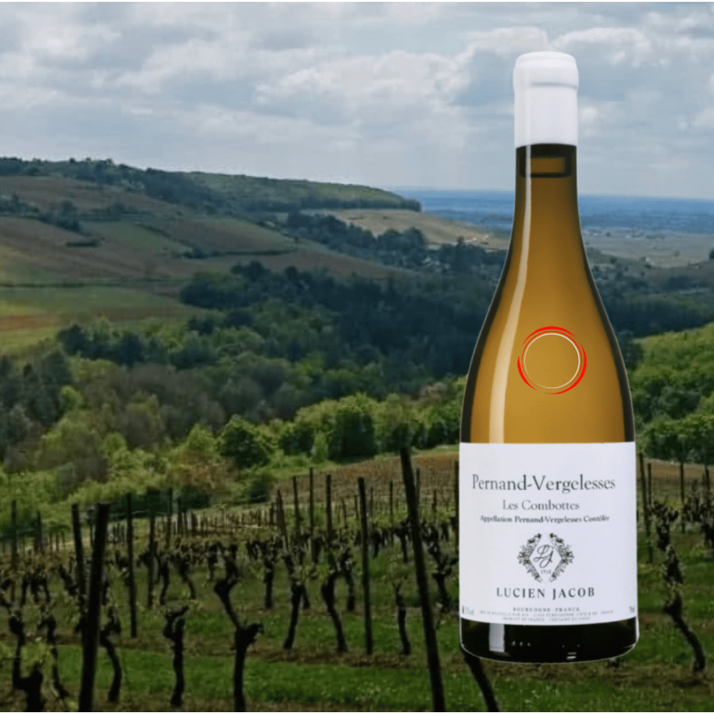 Lucien Jacob Savigny-lès-Beaune 1er Cru Les Vergelesses