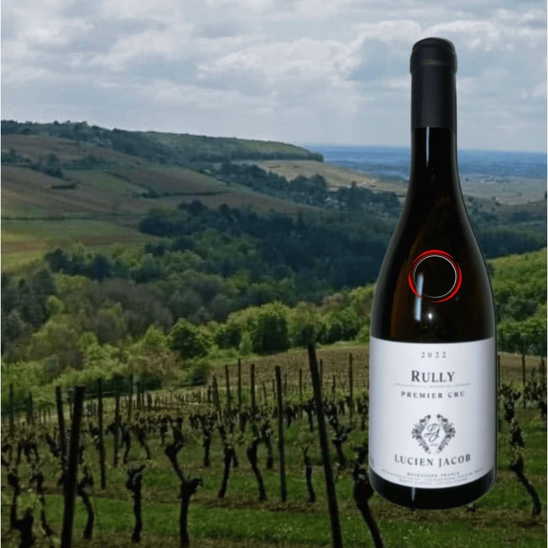 Lucien Jacob Rully 1er Cru