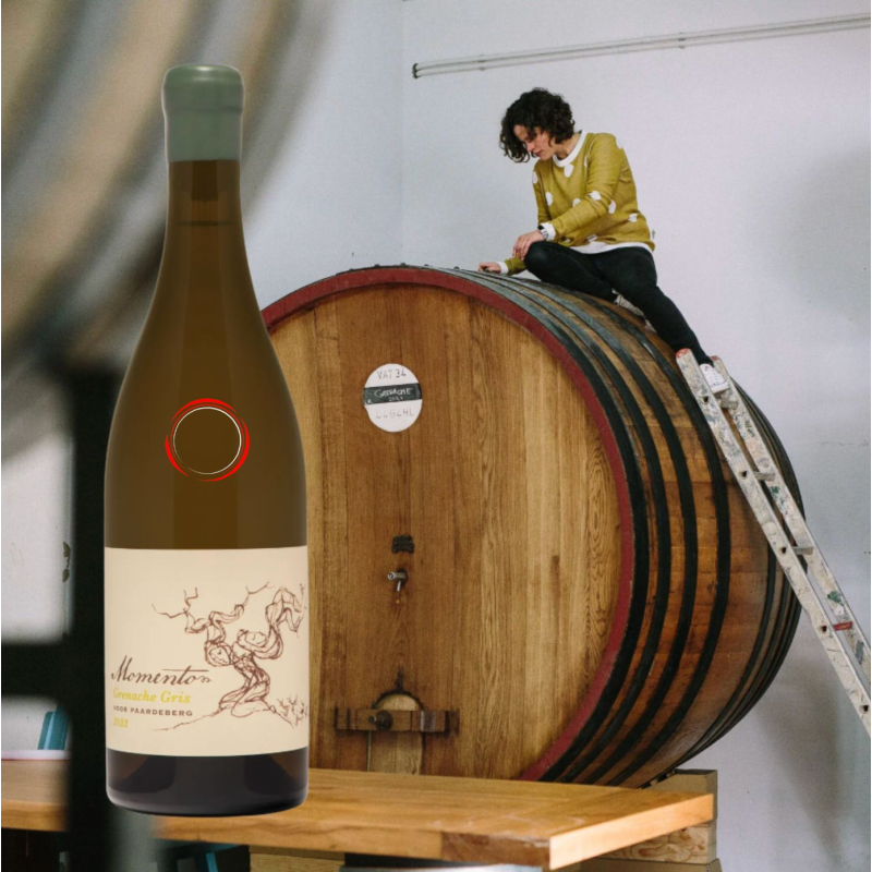 Momento Grenache Gris