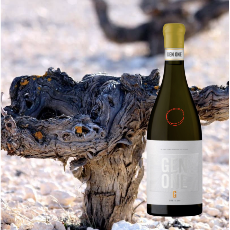 Bodegas Piqueras GEN ONE Blanco