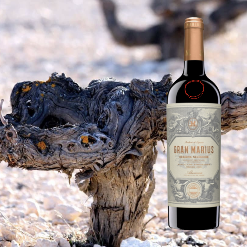 Bodegas Piqueras Gran Marius Reserva Seleccion