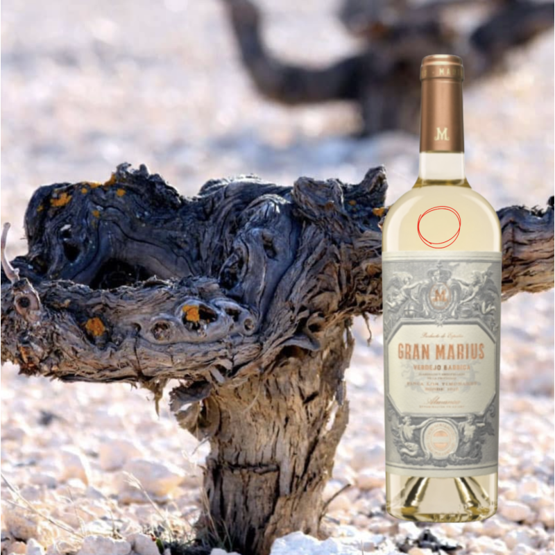 Bodegas Piqueras Gran Marius Verdejo Barrica