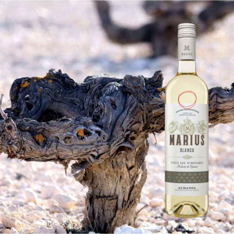 Bodegas Piqueras Marius Blanco