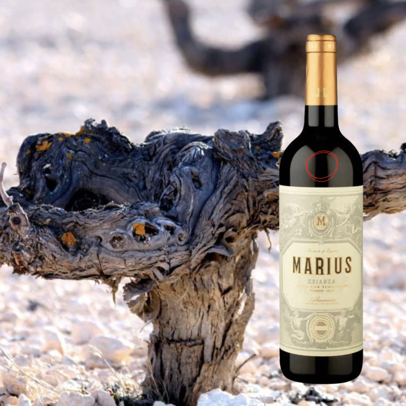 Bodegas Piqueras Marius Crianza