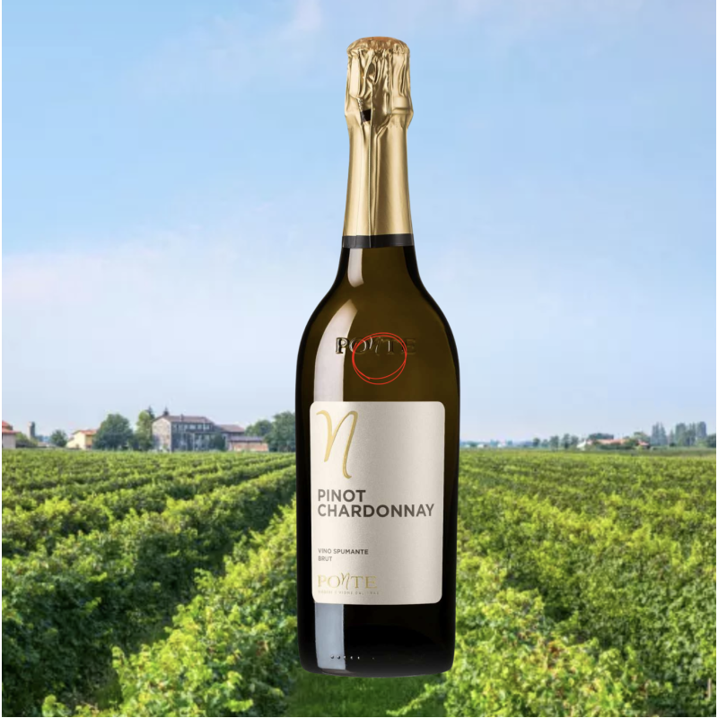 Ponte di Piave Spumante Pinot Chardonnay