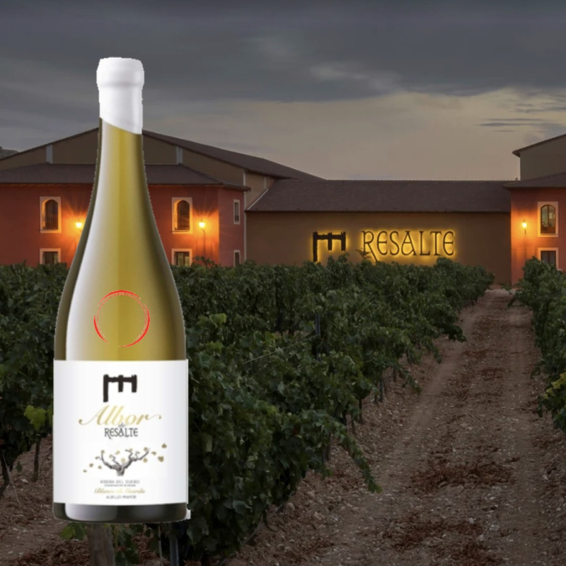 Bodegas Resalte de Penafiel Albor