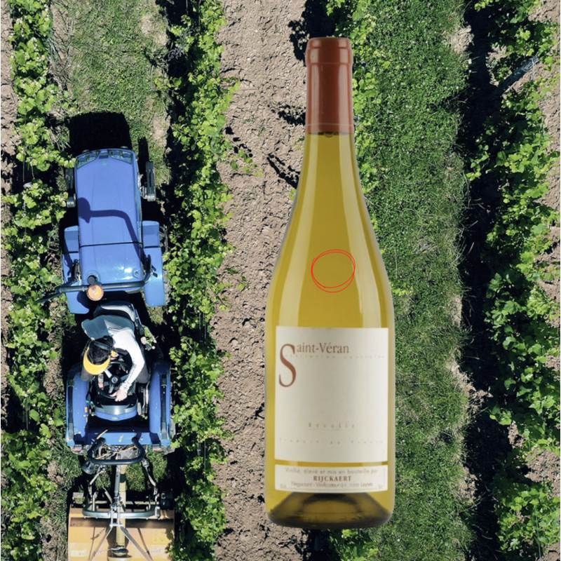 Rijckaert Saint-Véran Vieilles Vignes