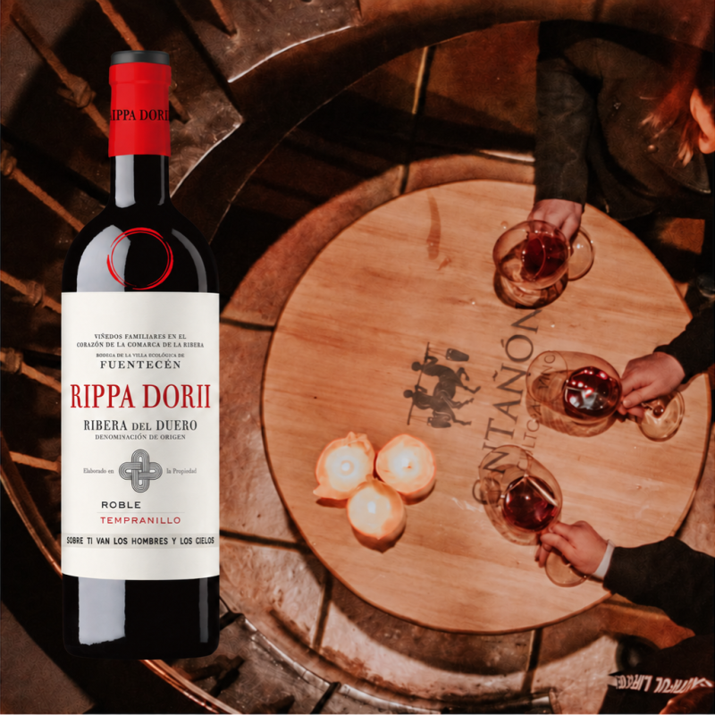 Bodegas Ontanon Rippa Dorii Roble - Magnum