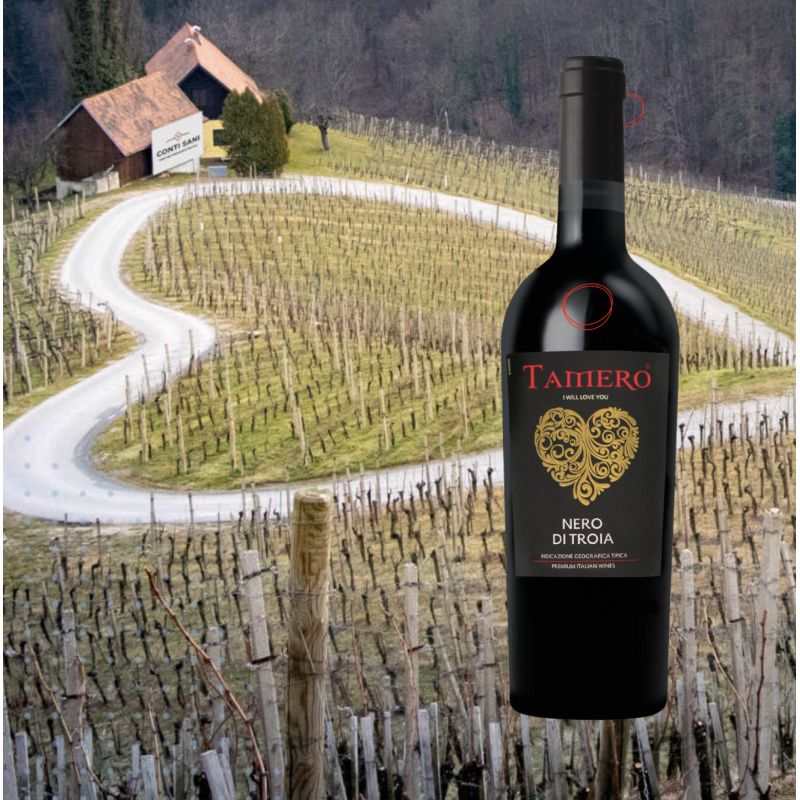 Tamero Nero di Troia