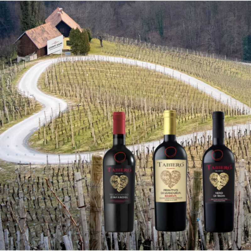 Tamero Discovery Pack - love wines